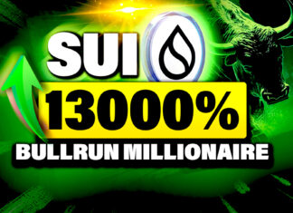How Many SUI Tokens Can Make You A Crypto Millionaire?