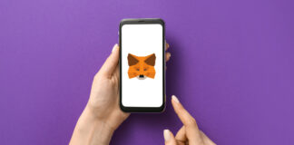 MetaMask Could Onboard Bitcoin in the Coming Months