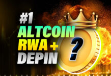 #1 Altcoin Biggest RWA + DePIN Leader