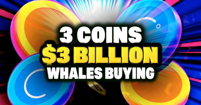 3 Coins Crypto Whales Buy Now – Why?