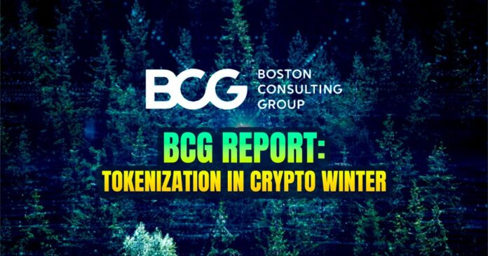 BCG Report: Tokenization in Crypto Winter
